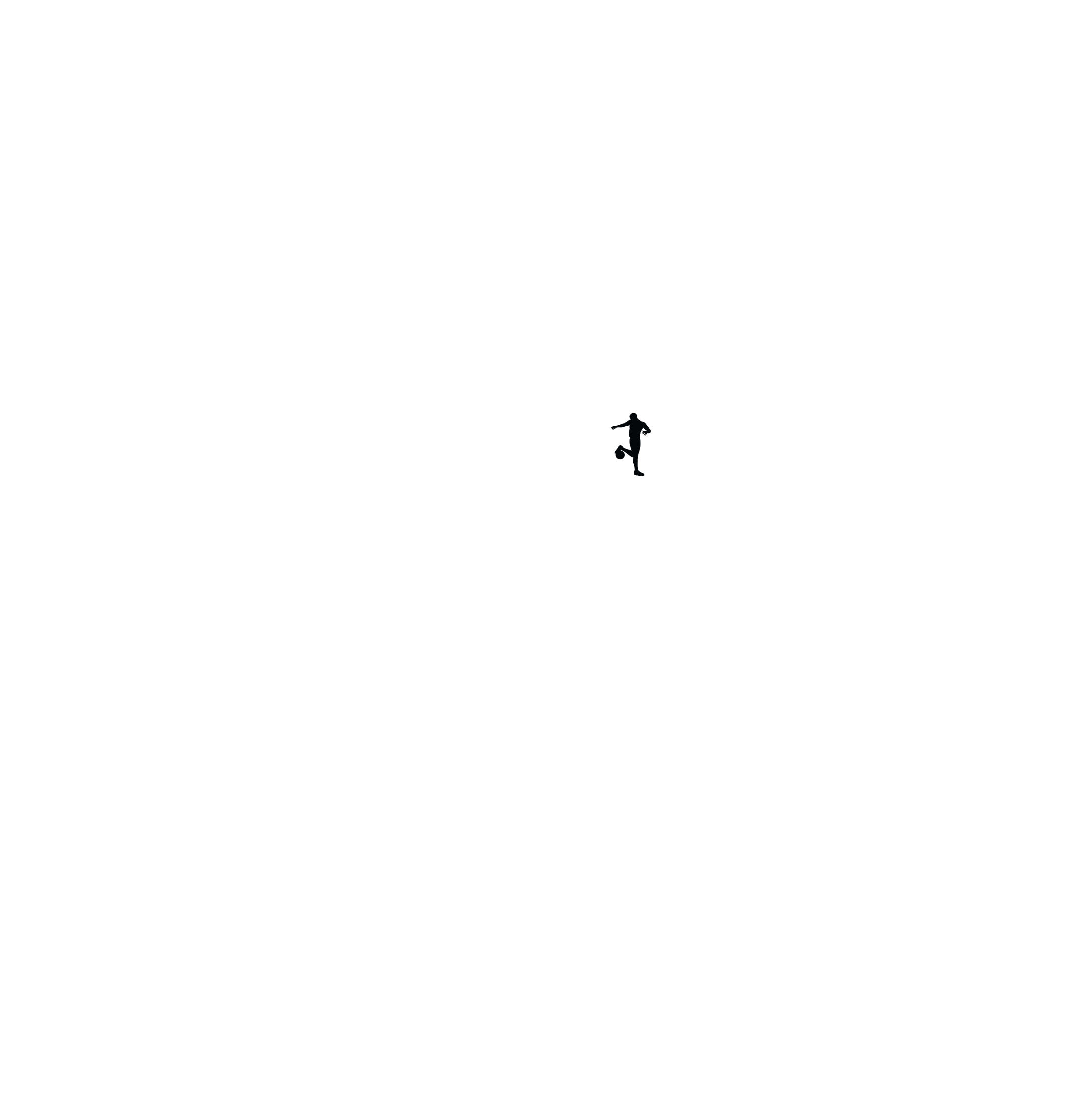 Freekick Sweater Heren met klein logo - Voetbalstages.be